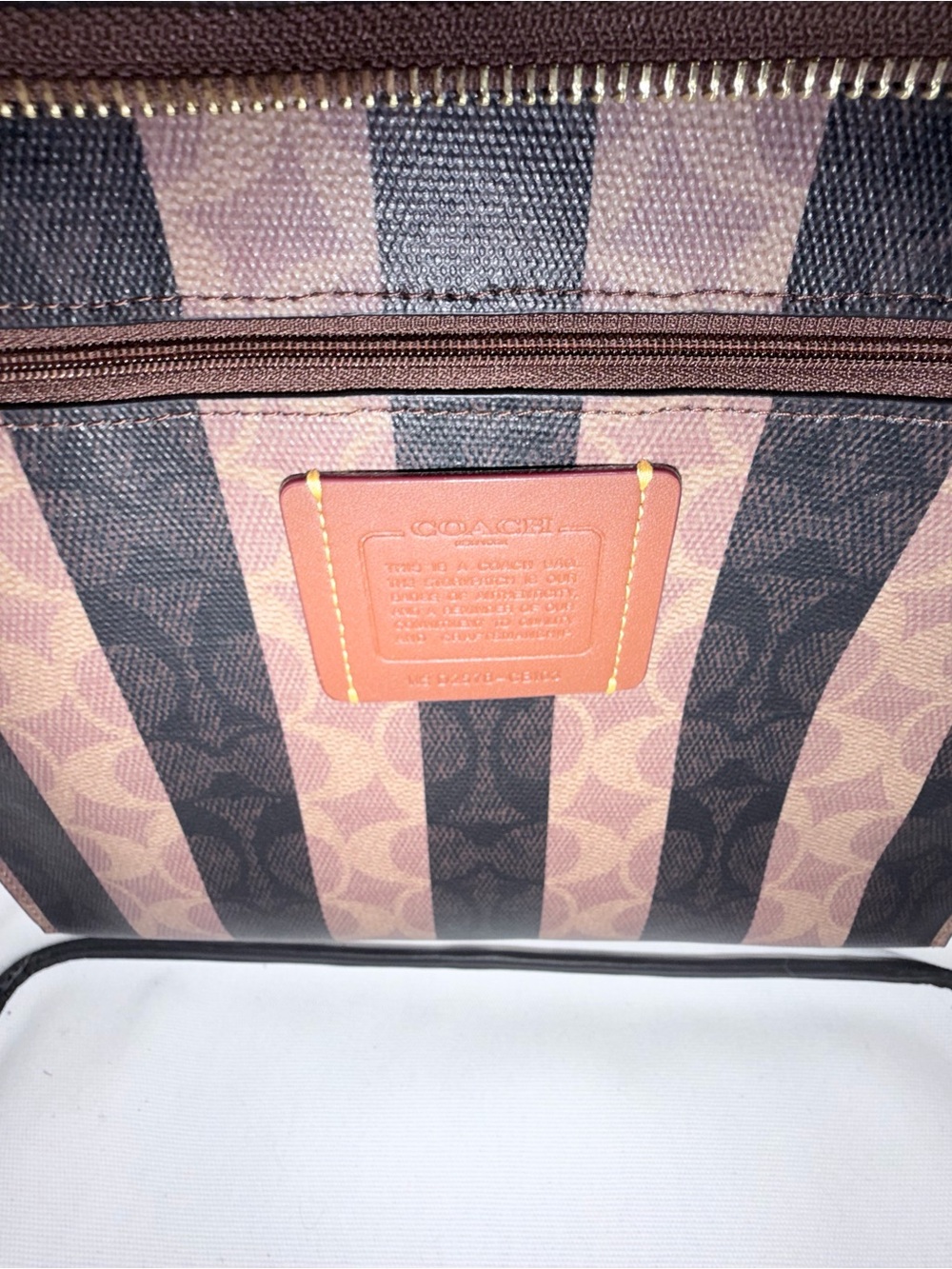 Coach Signature Stripe City Tote Bag - Brown/Black - Picture 4 of 8